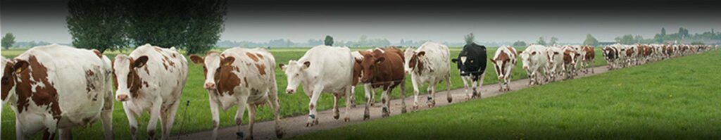 Boer-Bert-educatieboerderij