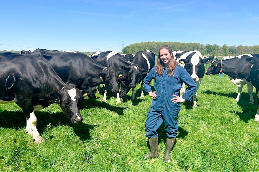 Melkveebedrijf Familie den Boer
