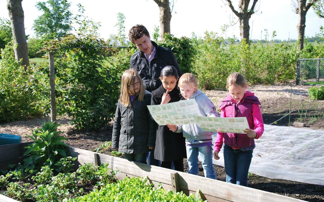 Kinderen uit de provincie Utrecht ontdekken het boerenleven!