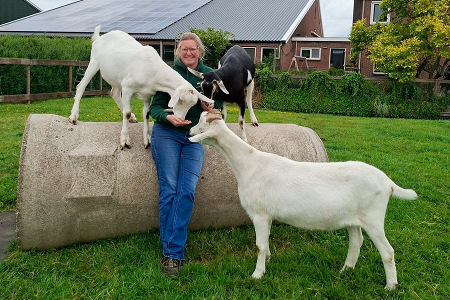 Boerderij-het-veldhoen