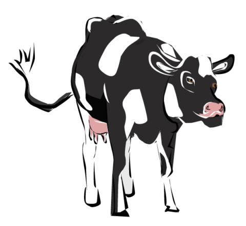 Boerderijles-koeien-boer-jan